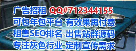 新源孕母风电公司